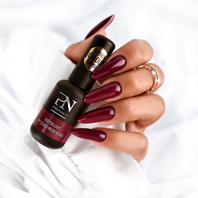 Manicure burgundy menawan 2024-2025 dalam teknik dan gaya baru